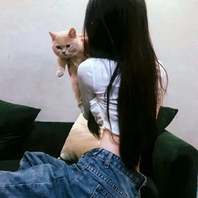 毒姬